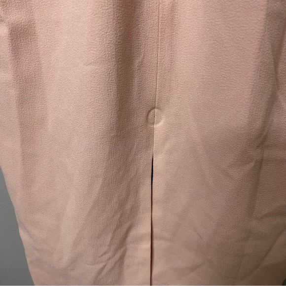 Dress The Population Sandy Sheath Midi Dress Powder Blush Size Small Sleeveless - Picture 8 of 8